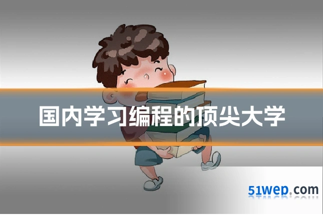 国内学习编程的顶尖大学