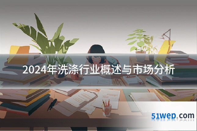2024年洗涤行业概述与市场分析