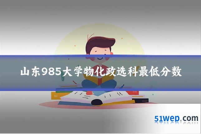 山东985大学物化政选科最低分数