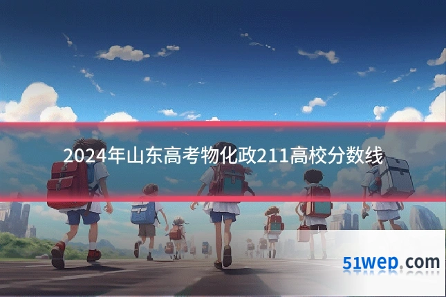 2024年山东高考物化政211高校分数线