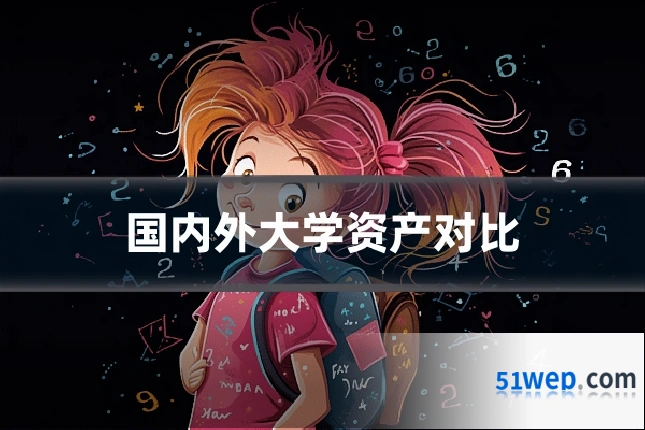 国内外大学资产对比