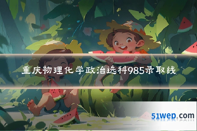重庆物理化学政治选科985录取线