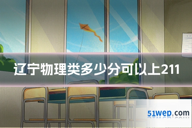 辽宁物理类多少分可以上211