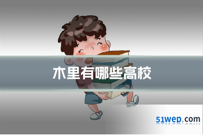 木里有哪些高校