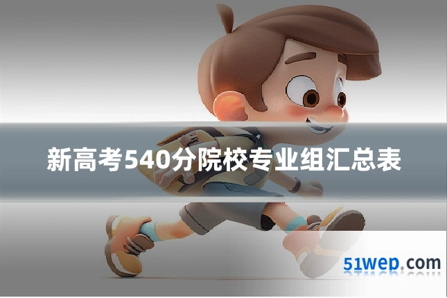 新高考540分院校专业组汇总表