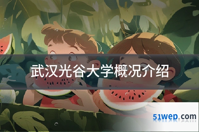 武汉光谷大学概况介绍