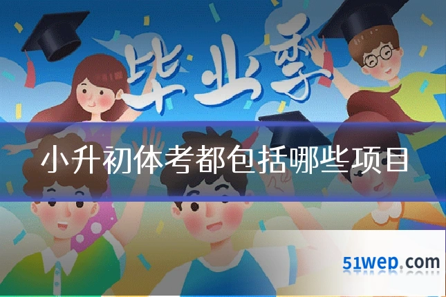 小升初体考都包括哪些项目