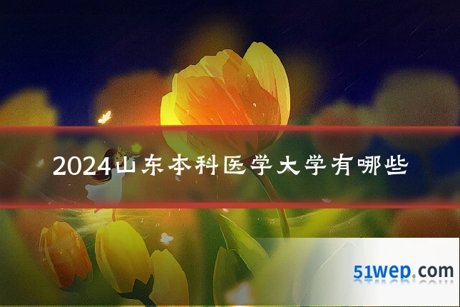 2024山东本科医学大学有哪些