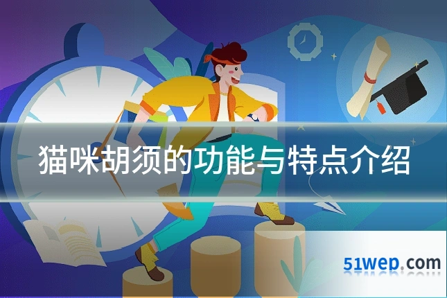 猫咪胡须的功能与特点介绍