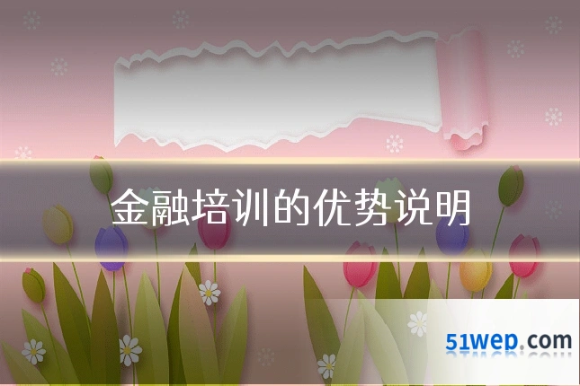 金融培训的优势说明