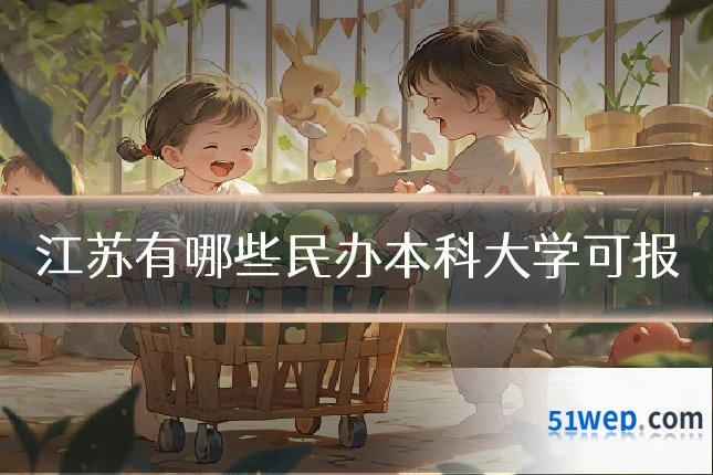 江苏有哪些民办本科大学可报