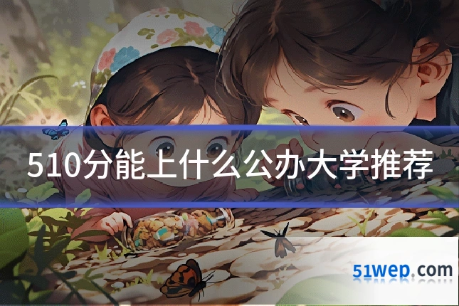 510分能上什么公办大学推荐