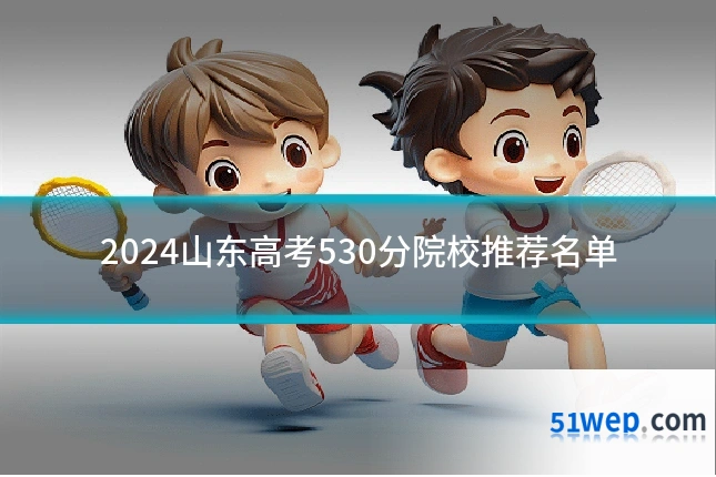 2024山东高考530分院校推荐名单
