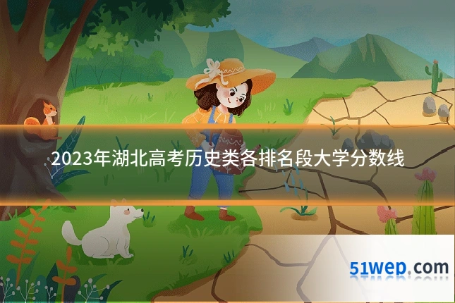 2023年湖北高考历史类各排名段大学分数线