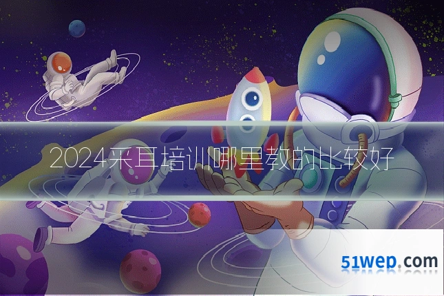 2024采耳培训哪里教的比较好
