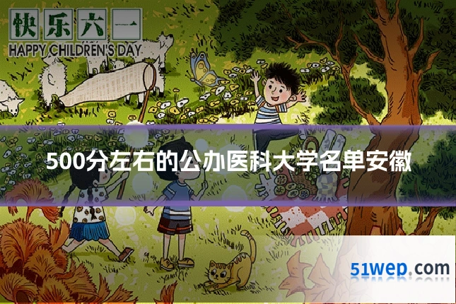 500分左右的公办医科大学名单安徽