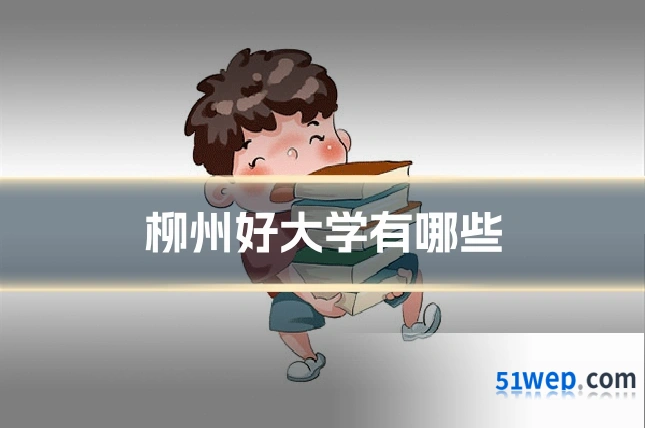 柳州好大学有哪些