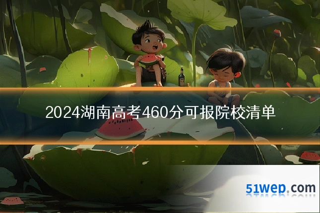 2024湖南高考460分可报院校清单