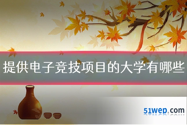 提供电子竞技项目的大学有哪些