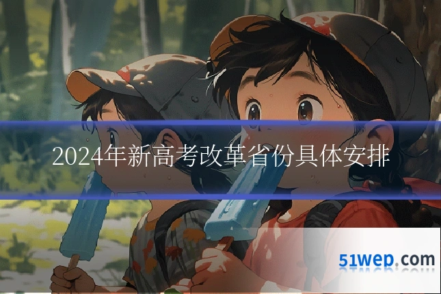 2024年新高考改革省份具体安排