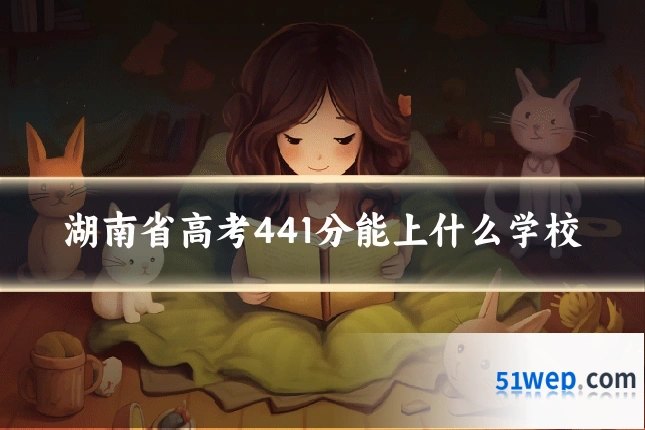 湖南省高考441分能上什么学校