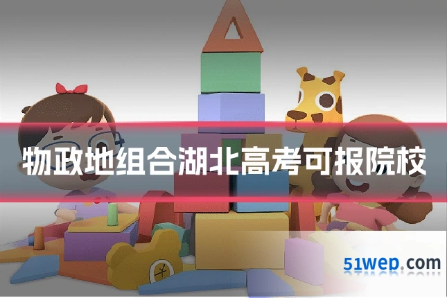 物政地组合湖北高考可报院校