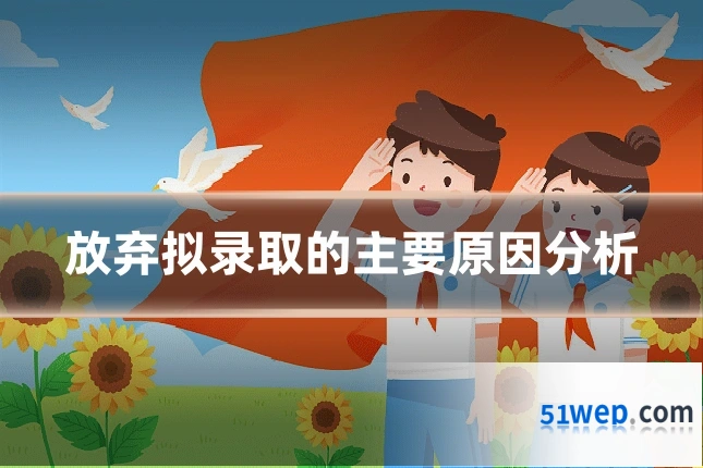 放弃拟录取的主要原因分析