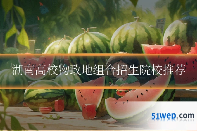 湖南高校物政地组合招生院校推荐