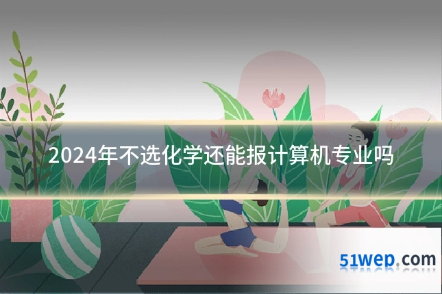 2024年不选化学还能报计算机专业吗