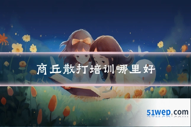 商丘散打培训哪里好