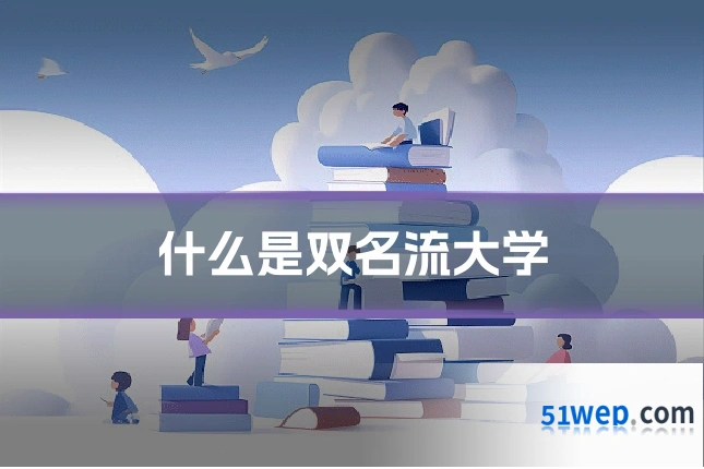什么是双名流大学