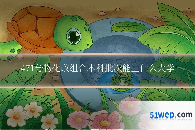471分物化政组合本科批次能上什么大学