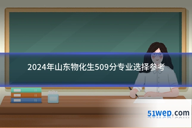 2024年山东物化生509分专业选择参考