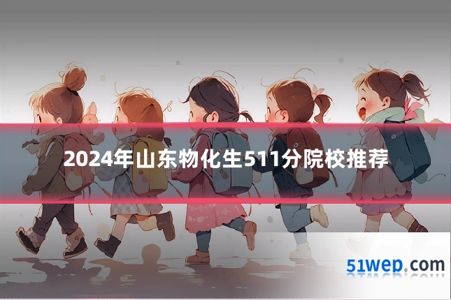 2024年山东物化生511分院校推荐