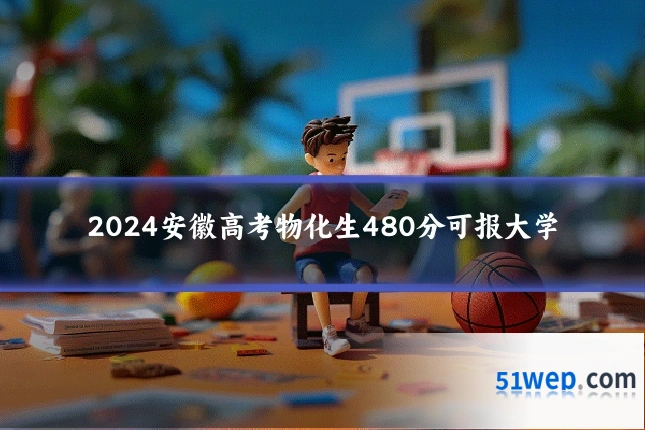 2024安徽高考物化生480分可报大学
