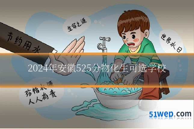 2024年安徽525分物化生可选学校