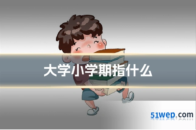 大学小学期指什么
