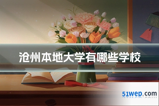 沧州本地大学有哪些学校