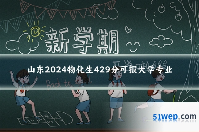 山东2024物化生429分可报大学专业