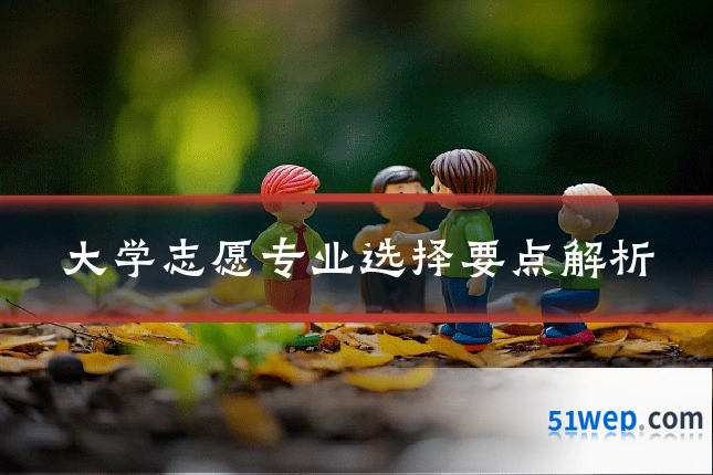 大学志愿专业选择要点解析