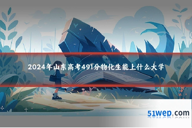 2024年山东高考491分物化生能上什么大学