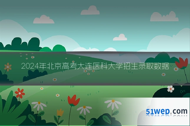 2024年北京高考大连医科大学招生录取数据