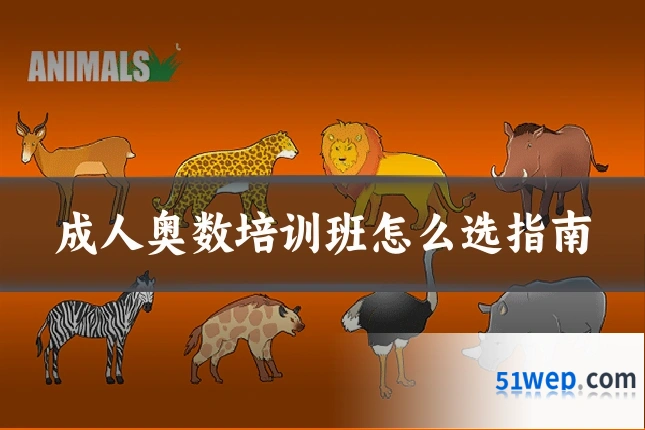 成人奥数培训班怎么选指南