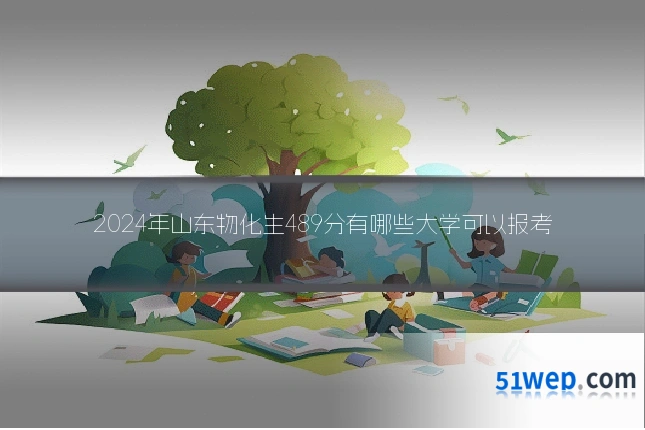 2024年山东物化生489分有哪些大学可以报考