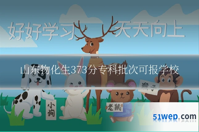 山东物化生373分专科批次可报学校