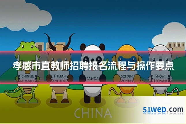 孝感市直教师招聘报名流程与操作要点
