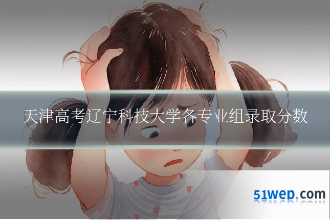 天津高考辽宁科技大学各专业组录取分数