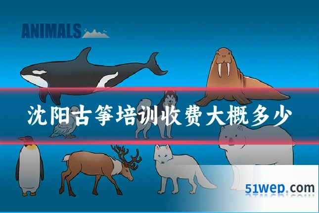 沈阳古筝培训收费大概多少