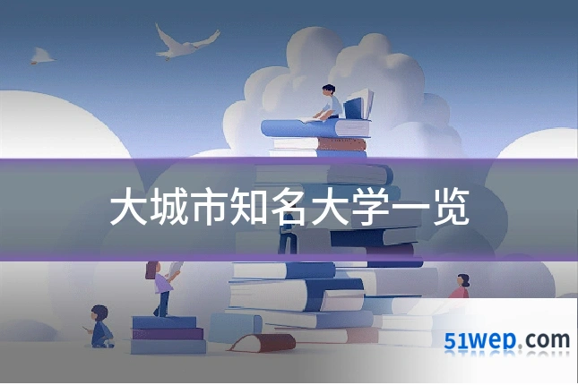 大城市知名大学一览