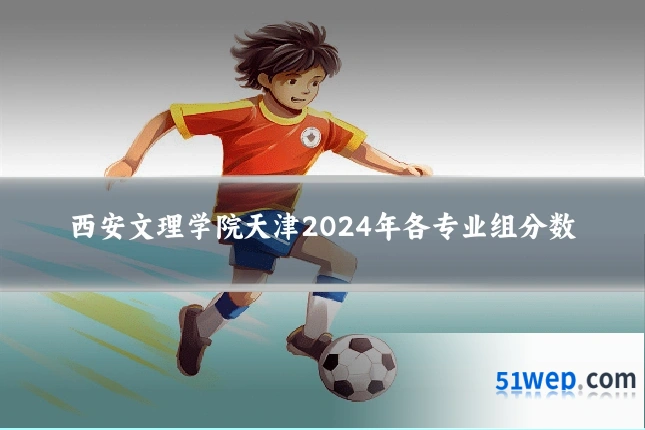 西安文理学院天津2024年各专业组分数